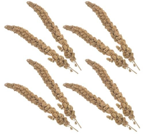 FIXOSHEE 500g Parrot Snacks Millet Treats for Pet Birds Parrots Snack Millet Dried Bird Food for Parakeets Cockatiel Finches Budgie Treats Parakeet Food Canaries
