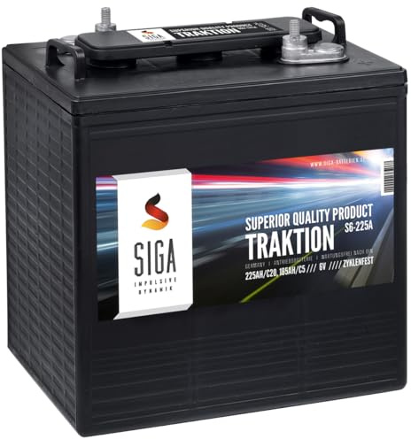 Antriebsbatterie 6V 225Ah Traktion Batterie Stapler Hubwagen Hebebühne Kehrmaschinen Solar 185Ah