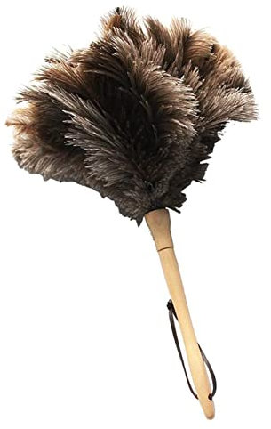 DeWin Plumeau, plumeau d'autruche Antistatique avec Manche en Bois Brosse de dépoussiérage Portable réutilisable Outil de Nettoyage à Domicile