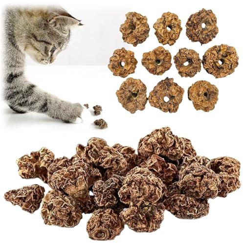 Früchte als Katzenspielzeug für Katzen,20pcs Matatabi Früchte Spielzeug für Katze,Spielzeug für Katzen,Zahnreinigung Dentales Essbares Kätzchenspielzeug Katzens Zahnreinigung