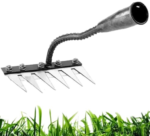 2025 Rateau de DéSherbage, Outil de Râteau de Désherbage avec Manche, Iron Rake 2.0, Outillage De Jardin pour Désherber/Ameublir/Semence (6 Teeth)
