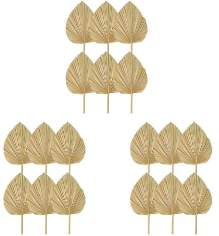 Mucshim 18 hojas de palma secas naturales, abanicos de palma secas naturales, lanza de palma grande para decoración de bodas bohemias, decoración de hojas de palma tropicales S