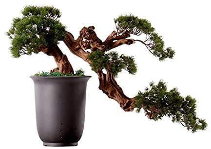 TOMYEUS Kunstpflanze Künstliche Bonsai-Baum simuliert Silikon-Nadelbaum Keramik-Topf Klar-Zweig Textur Home Büro Wohnzimmer Dekoration Künstlicher Bonsai-Baum