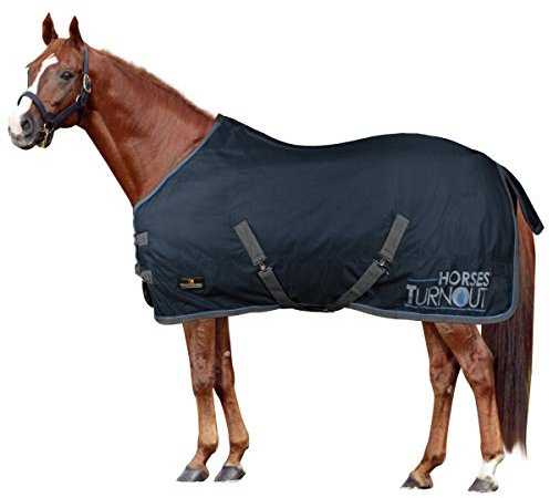Horses, Coperta da Paddock per Cavallo Turnout 200 gr, Impermeabile, Imbottita, Resistente, con Cinghie ad Incrocio, Blu 145 cm