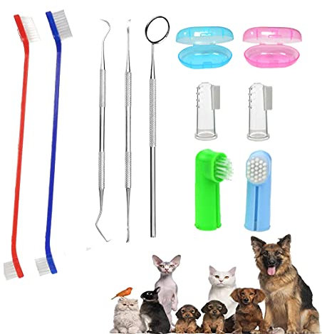 Hundezahnbürsten-Set,Haustier-Zahnbürsten-Set,11 Stück,Silikon-Finger-Zahnbürste,langer Griff,doppelköpfige Zahnbürste, Metall-Werkzeug inklusive, professionelles Zahnreinigungs-Set für Haustiere