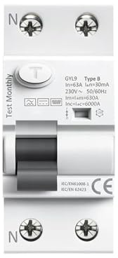 UMDNXNMA disjoncteur Disjoncteur différentiel magnétique Type B GYL9, disjoncteur différentiel DC ELCB 2P 4P 40A 63A 30mA 100mA 300mA Type B, Fuite RCD 6KA(2 Pole,63A 100mA)