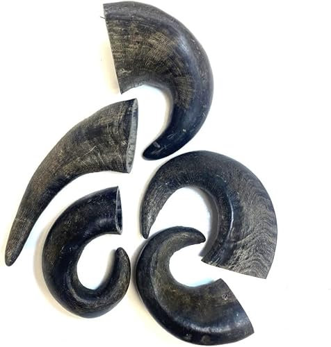 Medium Buffalo Horns x 50 Natural Dog Treats Chews