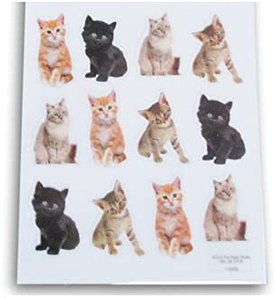 Kitten Stickers - Realistic Photographic Cats Adhesive Decals for Crafts, Cardmaking, Scrapbooks– 24 Pc