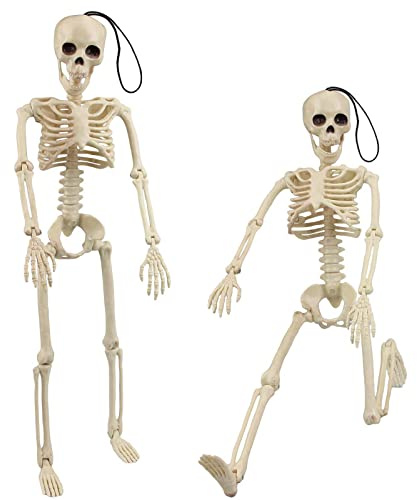 Morofme 2 Stück Halloween Skelett 40cm, Hängender Skelett, Bewegliche Ganzkörper Skelette mit Beweglichen Gelenken für Spukhaus-Requisiten, Halloween Party Dekoration