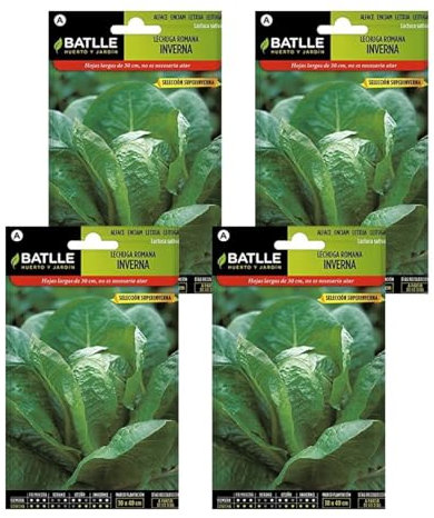 Semillas de lechuga romana inverna Semillas Batlle PACK (4)