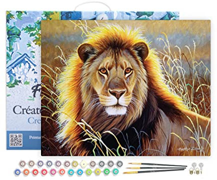 Figured'Art Peinture par Numéro Adulte avec Cadre Lion dans la savane - Activité Manuelle Kit de Loisir Créatif DIY Numéro d'Art Complet - 40x50cm toile tendue sur châssis