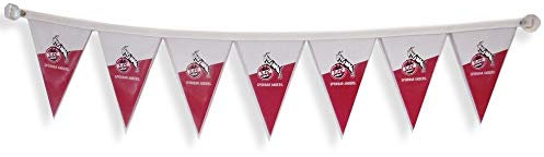 1. FC Köln Autowimpel Kette - Spürbar Anders - 60 cm Wimpelkette mit Saugnäpfen - Plus Lesezeichen I Love Köln