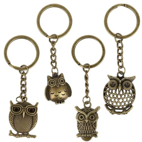 Mecmbj Schlüsselanhänger Eule, 4 pcs Süße Eulen Schlüsselanhänger Geschenk | Eule Schlüsselanhänger aus Zinklegierung, Silberfarben, Glücksbringer eulen schlüsselhalter für Familie, Freunde, Paare