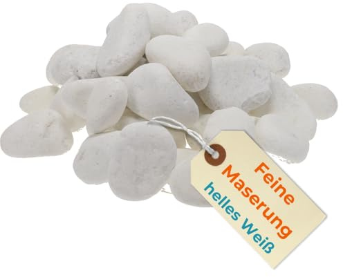 Kieselsteine Garten Zierkies Weiß 25 kg Aquarium Kies Carrara Marmorkies Dekostein Weiße Kieselsteine Zierstein Marmor Kies Weiß (40-60 mm)