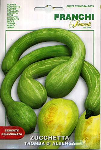 SEMENTI DI ORTAGGI DI QUALITA' PER USO HOBBYSTICO IN BUSTINA TERMOSALDATA (ZUCCHETTA TROMBETTA D'ALBENGA)