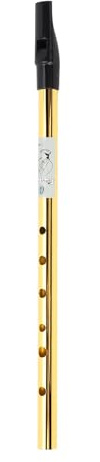 Irish Penny Whistle, Klarer Klang, Irische Tin Whistle, Wind- und Musikflöte für Anfänger, Genaue Stimmung mit Schutzhülle, für Alle Musiker (D Tune)