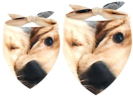 Hundehalstücher im 2er-Pack, dreieckiger Haustierschal, transparenter Chiffon-Stoff, Halstuch für kleine, mittelgroße und große Hunde und Katzen,Tier Zwei Golden Retriever