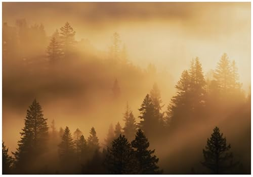 WallArena - Papier peint photo non tissé - Motif forêt - 200 x 140 cm - Pour salon et chambre à coucher - Effet 3D - Avec colle - Paysage naturel doré