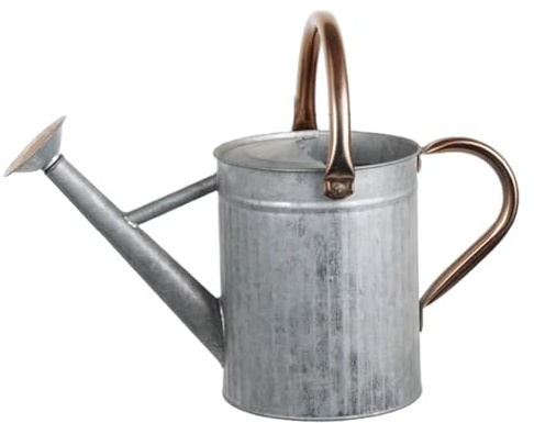 Regadera de Acero Inoxidable, regadera de Metal de 1, 3 galones/5 l con Boquilla extraíble y 2 Asas para Plantas de Exterior e Interior, Plateada