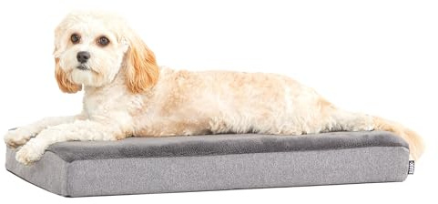 Barkbox Orthopedic Dog Bed with Memory Foam, Premium Comfort for Dogs and Puppies, Dog Beds for Joint Relief and Restful Sleep, Durable and Easy to Clean - Grey, Medium