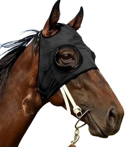 Protector Ocular para Caballos - Anteojeras De Malla A Prueba De | Anteojeras para Caballos,para Competición Ecuestre Entrenamiento Equitación Al Aire Libre Deportes Ecuestres