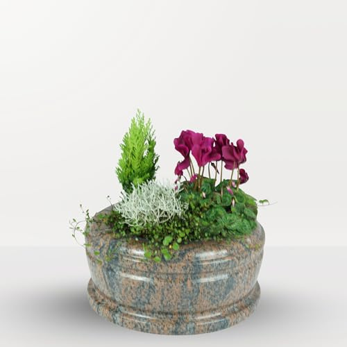 D4G Design4Grab designgrab Exclusiv-Grande Gneis Halmstad Pot funéraire en granit Gris rougeâtre 33 cm Poli et digne