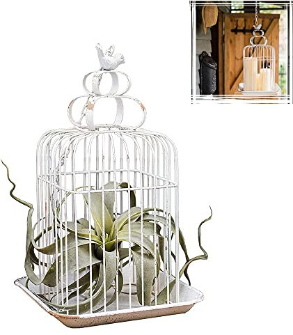 ksamwjf Jaula para pájaros Jardineras Enrejado, jaulas Redondas de Metal para Colgar en la Pared, Maceta, Soporte de Escritorio para Flores, para Bodas, Interiores, al Aire Libre, decoración del Hog