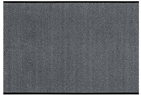 andiamo Fußmatte Easy - Schmutzfangmatte, Türmatte & Fussmatte für den Eingangsbereich - Läufer Flur nimmt Schmutz effektiv auf - 120 x 250 cm in Hellgrau