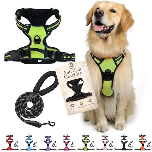 Anti Zieh Geschirr für Hunde, Hunter Hundegeschirr, Atmungsaktiv & Gepolstert Anti-Zieh Hundegeschirr mit Step-in Design, Kontrolle ohne Ziehen für Hunde Jeder Größe (Grün, S)