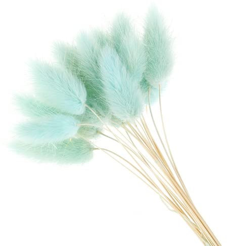 YIWOYI 50 natürliche getrocknete Blumen, Plüsch, bunte Blume, Kaninchenschwanz, Gras, Fuchsschwanz, lange Bündel, künstliche Pflanzen, Dekoration (blau)