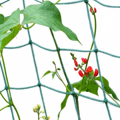 Jute Netting Pea and Bean Biodegradable String Netting (Green, 1.8m x 1.8m)