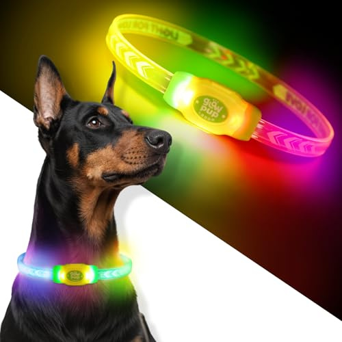 LaRoo LED Leuchthalsband Hunde Halsband USB Aufladbar - Wasserdichtes Hundehalsband Leuchtend mit 4 Beleuchtungsmodi, Längenverstellbareres LED Halsband für Kleine, Mittlere und Große Hunde (Grün)
