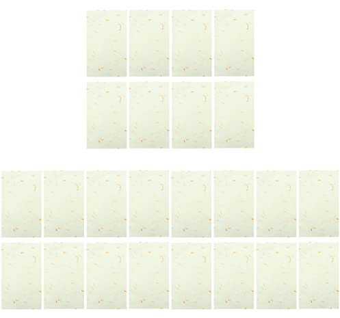 NUOBESTY 120blätter Elegantes Xuan-papier Hochwertiges Reispapier Für Kalligraphie Für Anfänger Und Liebhaber Zum Schreiben Und Zeichnen Für Chinesische Und Japanische Schriftzeichen