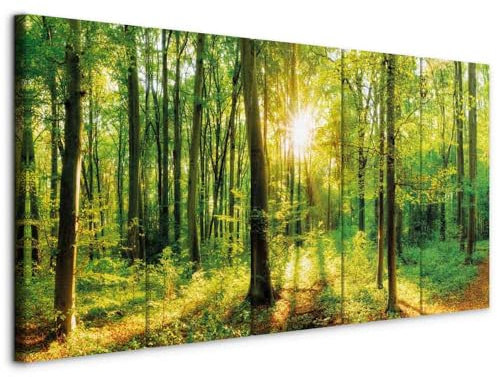 B&D XXL - Akustikbild Wald 100x40 cm 5 tlg Leinwand Bilder Akustikschaum Schallschutz Akustikpaneele Wandpaneele Schalldämmung Schallabsorber Akustikplatten Waldlandschaft Natur Baum c-B-0184-b-m