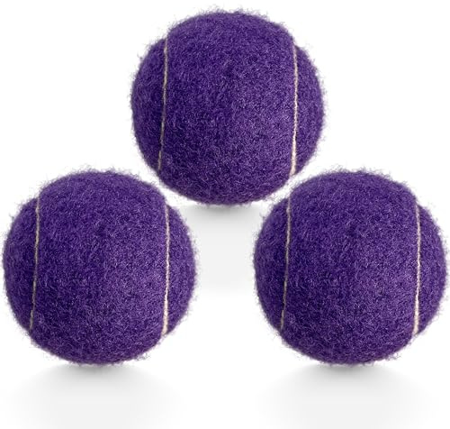 HiBallBall Tennisbälle, 3 Stück, Übungs-Tennisbälle für Anfänger, langlebige Trainings-Tennisbälle für Hunde (lila)