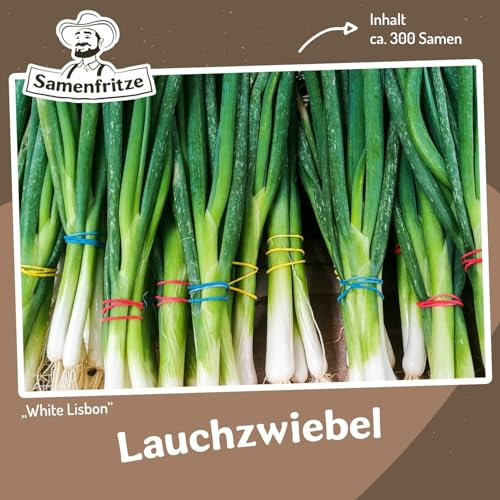 MHD 06/26 Lauchzwiebel White Lisbon Samen
