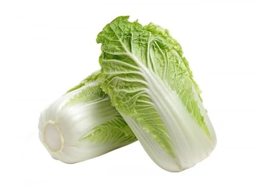 Veenas Fresh Chinese Cabbage | 1KG | Greenish Chinese Leafy Vegetable | Nutrients and Minerals | Salad |Chinese Cuisine