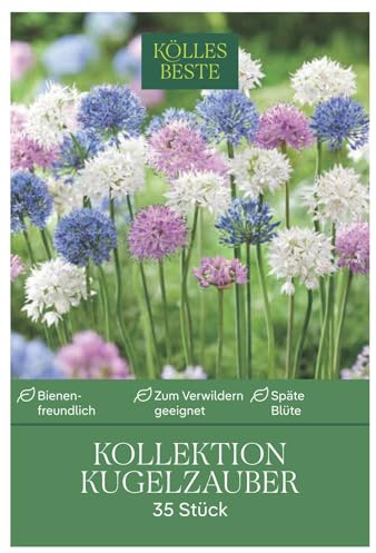 Allium-Mischung Kollektion 'Kugelzauber', blau, weiß, rosa, 35 Blumenzwiebeln