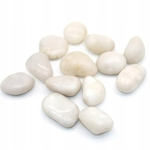 Generisch Weiß Polierte Kieselsteine Dekosteine I Glanzkies Große Kieselsteine Flusskiesel Deko-Steine für Garten I Gartenteich Steine Teichkies Zierkies Gartenkies Ziersteine (20-40mm, 5)