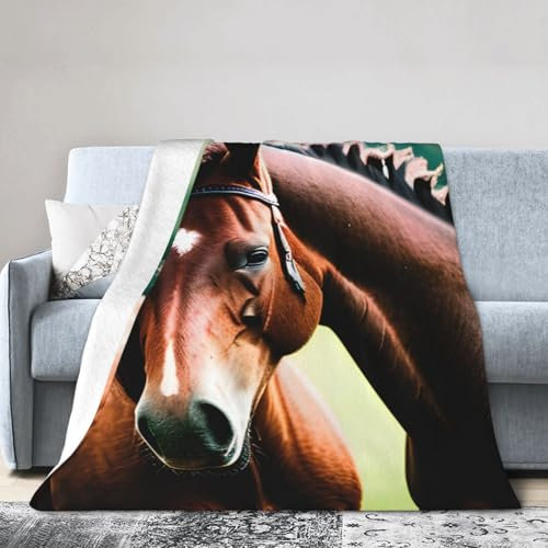 Weiche Micro-Fleece-Decke mit zwei Pferden, leicht, langlebig für Betten, Sofas, Camping oder Reisen
