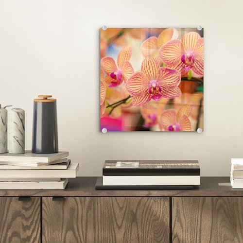 MuchoWow Glasbild Glasfoto Wandbild Bilder Deko 20x20 cm Pflanze - Orchidee - Blumen - Rosa - Flora