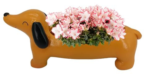 Generisch Blumentopf Mit Hund,Hunde Blumentopf,Dackel Sukkulenten Pflanztöpfe,Harz Cartoon Tier Blumen Pflanztöpfe,Blum Entopf Dekoration,Bonsai Harz,Gartendekoration Für Zuhause,Café