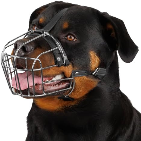 BRONZEDOG Hundemaulkorb Verstellbar Robustes PVC/Metalldrahtkorb für Große und Sehr Große Hunde mit Lederbändern Atmungsaktiv, Trinkfähig, Training, Verhindert Beißen (Rottweiler, Edelstahl)