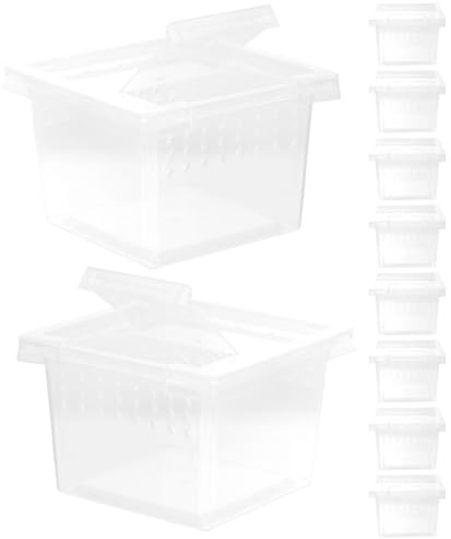 BATHVEVE Kunststoff Insekten Futterbox sichere und einfache Pflege 10 Stück transparentes Spinnen Terrarium Zubehör für Reptilien und Geckos für Zucht und Haltung