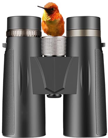 Kompakt Fernglas Erwachsene,DOCANIO 10x42 Kompakt Fernglas Mini Fernglas 510g kompaktes Spektiv mit FMC-Linse Feldstecher Leichtgewichtig Breites Sichtfeld für Jagd Vogelbeobachtung Reise