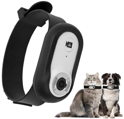 Bewinner Katzen Kamera Halsband – 120° Weitwinkel Sportkamera mit LCD-Bildschirm und 8 GB Speicherkarte, HD 1080P Multifunktionaler Haustier Katzen Tracker für Videoaufzeichnung