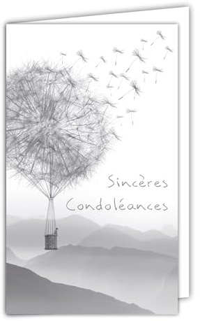 AFIE 24-1003-B - Tarjeta de condolencias con sobre blanco, 10 x 16,5 cm - Globo aerostático Semillas de diente de león Paisaje Moderno Contemporáneo Diseño Limpio Gris Plateado Brillante Lujo Muerte