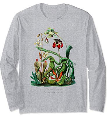 Plantes carnivores Vintage Sarracenia Botanical Manche Longue