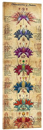 Posterlounge Characterstics of Chakras (Englisch) Acrylglasbild von Sharma Satyakam 30 x 90 cm Bunt Wandbilder Wanddeko