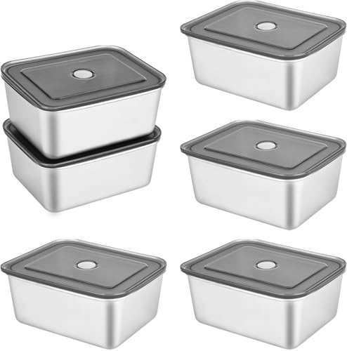 DMJJSD Lot de 6 recipientes de acero inoxidable con tapas, 500 ml, fiambreras de acero inoxidable, cajas bento con junta de repuesto, aptas para horno, congelador, lavavajillas